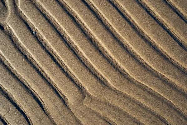 バルト海のビーチの砂のテクスチャ — ストック写真