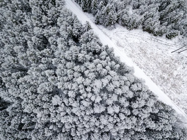 Aerial View Forest Area Winter Snowy Trees — Stock Photo, Image