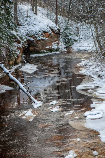 buzla kaplı kışın donmuş nehir