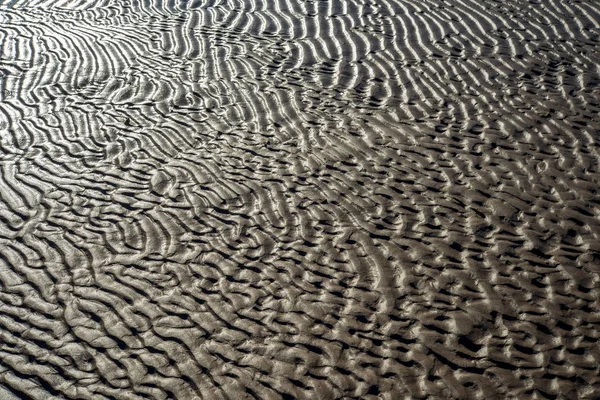 Textura Areia Praia Mar Báltico — Fotografia de Stock