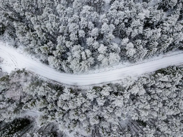 Aerial View Forest Area Winter Snowy Trees — Stock Photo, Image