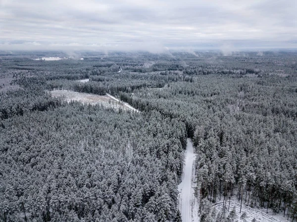 kışın karlı ağaçları ile orman alanının havadan görünümü