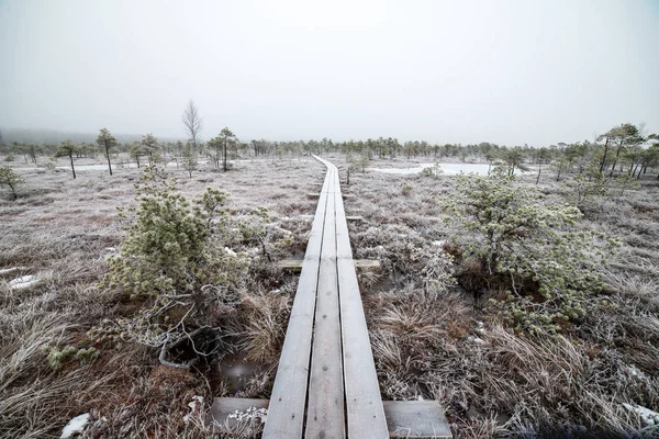 Bataklığı, Letonya'karlı Trail doğal görünümü 