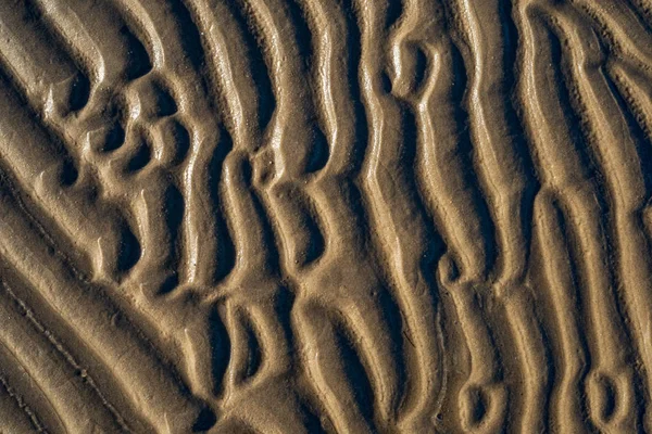 Baltık Denizi, sahilde kum doku