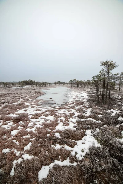 Bataklığı, Letonya'karlı Trail doğal görünümü 