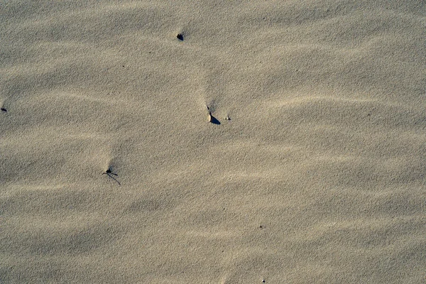 Sand Texture Beach Baltic Sea — Stock Photo, Image