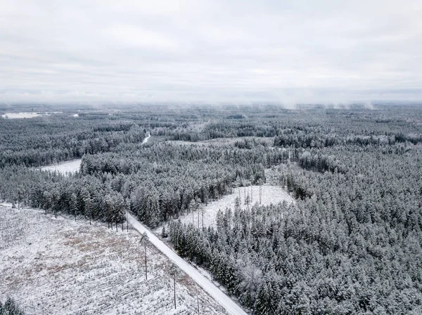 kışın karlı ağaçları ile orman alanının havadan görünümü