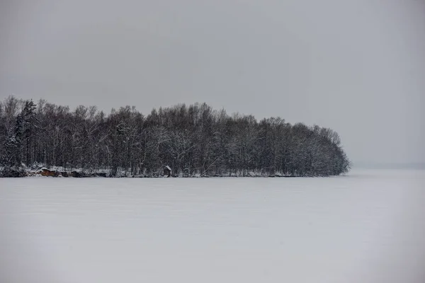 Bella Vista Panoramica Della Foresta Invernale — Foto Stock