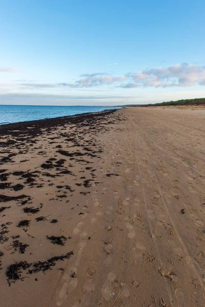 Baltık Denizi, sahilde kum doku