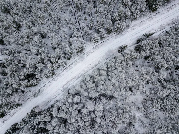 kışın karlı ağaçları ile orman alanının havadan görünümü