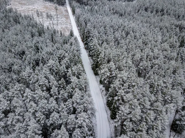 kışın karlı ağaçları ile orman alanının havadan görünümü