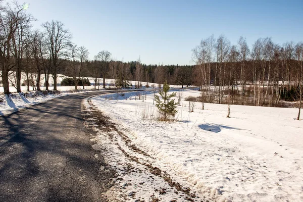 kar kış yol lastik izleri ile kaplı