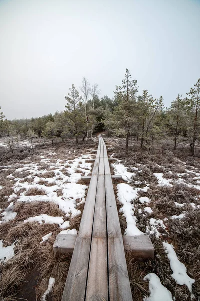 Bataklığı, Letonya'karlı Trail doğal görünümü 