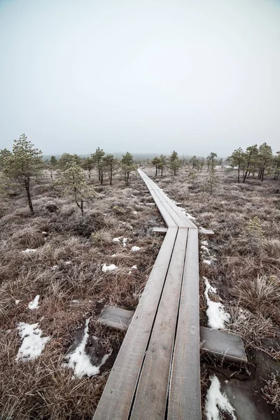 Bataklığı, Letonya'karlı Trail doğal görünümü 