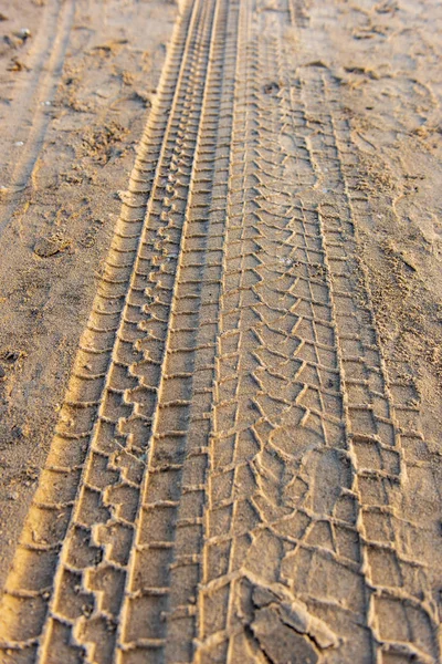 波罗的海海滩上的沙子纹理 — 图库照片