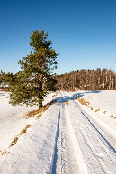 kar kış yol lastik izleri ile kaplı