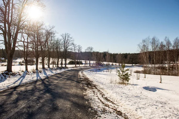 kar kış yol lastik izleri ile kaplı