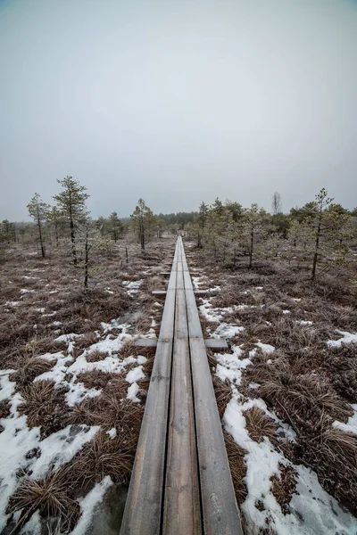Bataklığı, Letonya'karlı Trail doğal görünümü 