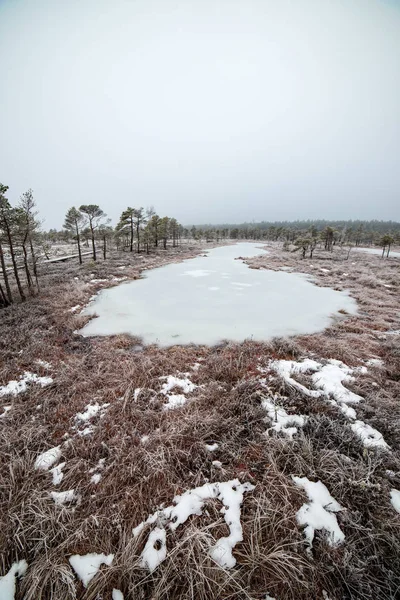 Bataklığı, Letonya'karlı Trail doğal görünümü 