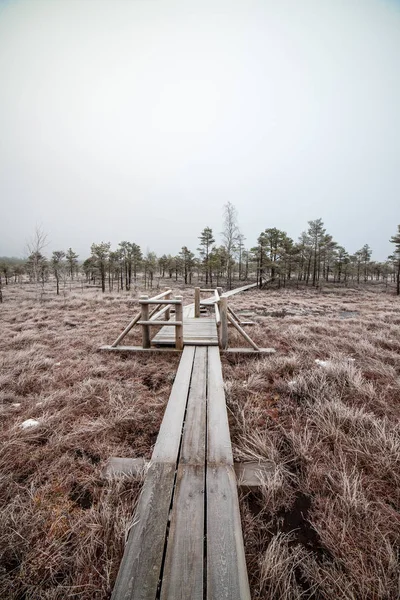 Bataklığı, Letonya'karlı Trail doğal görünümü 