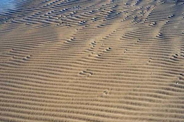 Пісок Текстуру Пляжі Балтійському Морі — стокове фото