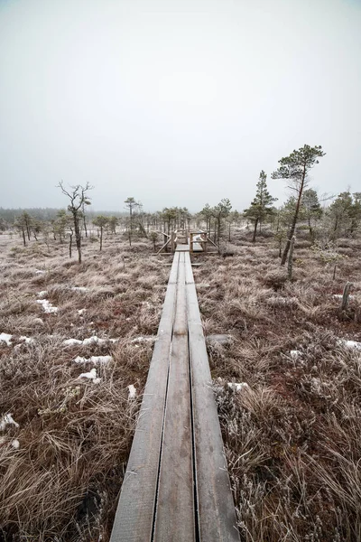 Bataklığı, Letonya'karlı Trail doğal görünümü 