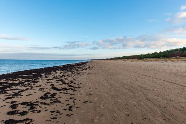 Пісок Текстуру Пляжі Балтійському Морі — стокове фото