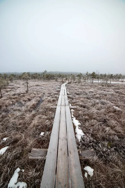 Bataklığı, Letonya'karlı Trail doğal görünümü 