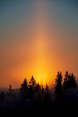 Sunrise karlı kış orman üzerinde doğal görünümü