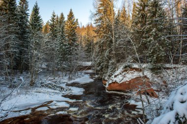 Kışın, Letonya orman Amata Nehri'nin doğal görünümü