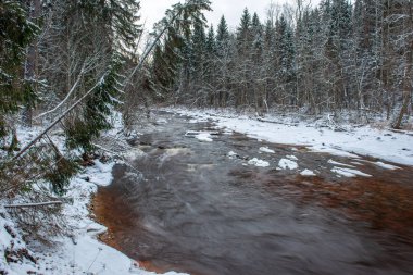 Kışın, Letonya orman Amata Nehri'nin doğal görünümü
