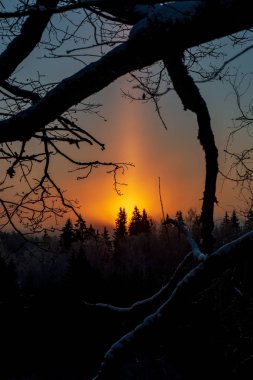 Sunrise karlı kış orman üzerinde doğal görünümü