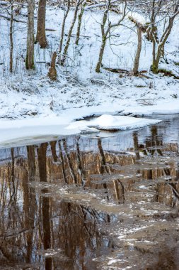 Kışın, Letonya orman Amata Nehri'nin doğal görünümü