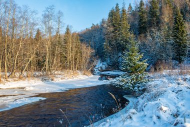 Kışın, Letonya orman Amata Nehri'nin doğal görünümü