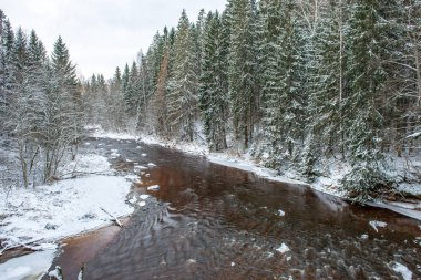 Kışın, Letonya orman Amata Nehri'nin doğal görünümü