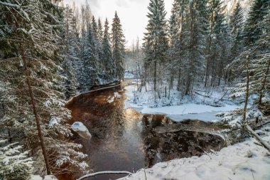 Kışın, Letonya orman Amata Nehri'nin doğal görünümü