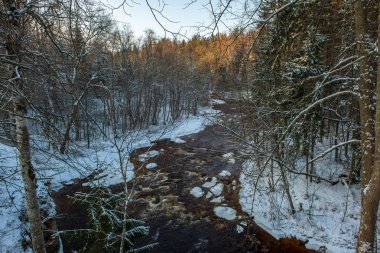 Kışın, Letonya orman Amata Nehri'nin doğal görünümü
