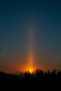 Sunrise karlı kış orman üzerinde doğal görünümü