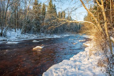 Kışın, Letonya orman Amata Nehri'nin doğal görünümü