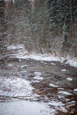 Kışın, Letonya orman Amata Nehri'nin doğal görünümü