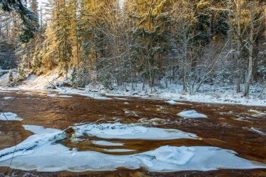 Kışın, Letonya orman Amata Nehri'nin doğal görünümü
