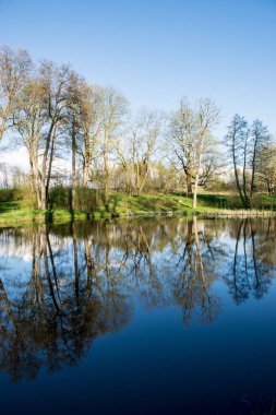 yaz günü ağaçlar üzerinde orman manzaralı görünümünü Gölü yansımalar