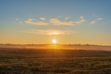 sabah sis sis çayır üzerinde doğal görünümünü