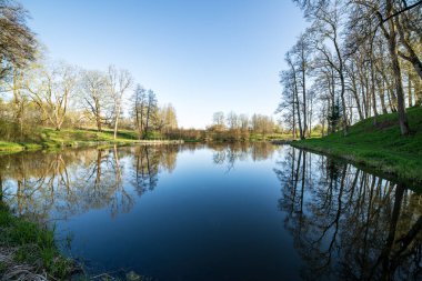 yaz günü ağaçlar üzerinde orman manzaralı görünümünü Gölü yansımalar