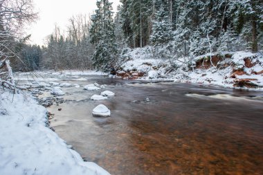Kışın, Letonya orman Amata Nehri'nin doğal görünümü