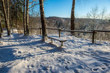 snowy orman manzaralı görünüm kış gününde
