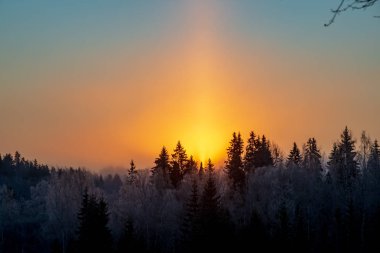 Sunrise karlı kış orman üzerinde doğal görünümü
