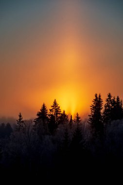 Sunrise karlı kış orman üzerinde doğal görünümü
