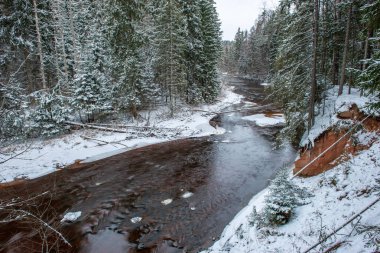 Kışın, Letonya orman Amata Nehri'nin doğal görünümü