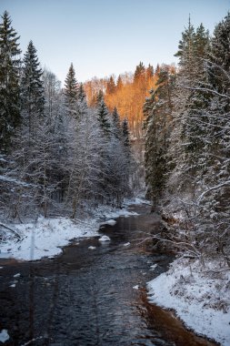 Kışın, Letonya orman Amata Nehri'nin doğal görünümü